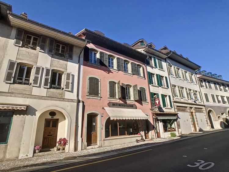 Magnificent renovated apartment in the heart of Coppet