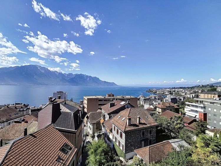 Magnificent 4.5 room apartment with panoramic views of the lake