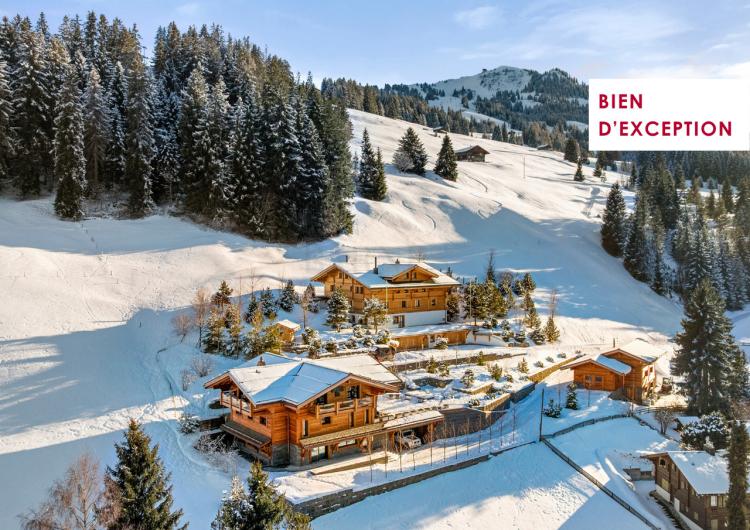 Eine einmalige Gelegenheit! Luxuriöse Unterkunft direkt an der Piste.