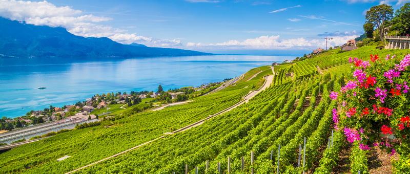 Buy an apartment with a breathtaking view of Lake Geneva, on the Vaud Riviera