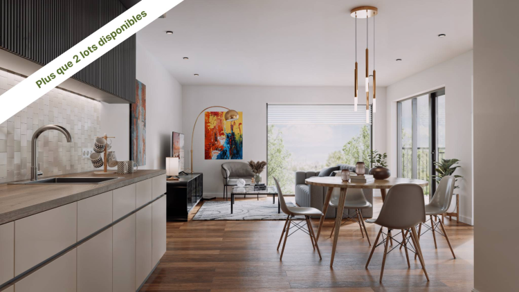 LOGEMENT DE STANDING AVEC VUE LAC ! 