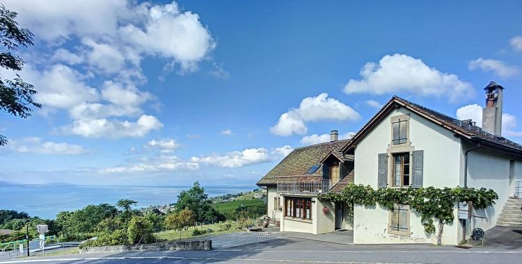 Spacious old winegrower's house