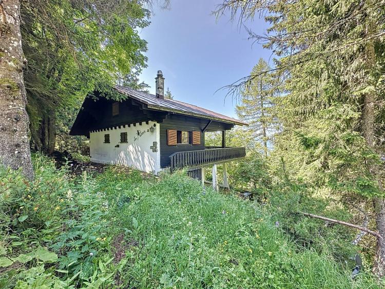 A True Haven of Peace! 3.5-Room Chalet Near Col de Jaman