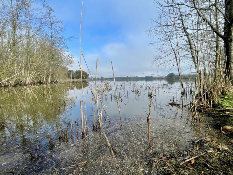 CHALAMONT Ain - Propriété d’exception de 500 hectares