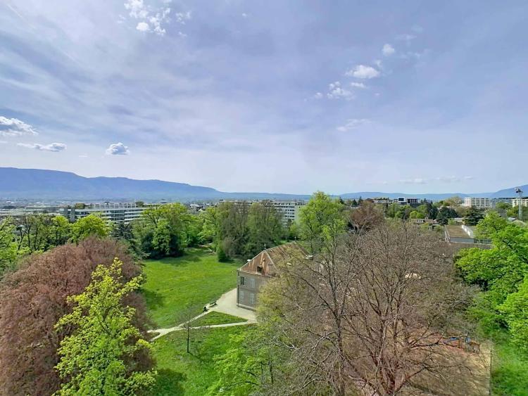 Budé- Vaste appartement de 7 pièces au dernier étage 