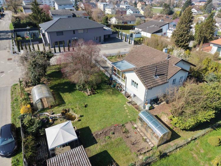 Helles Einfamilienhaus in grüner Umgebung