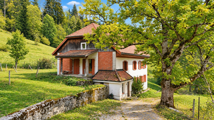 House with multiple possibilities in a green setting