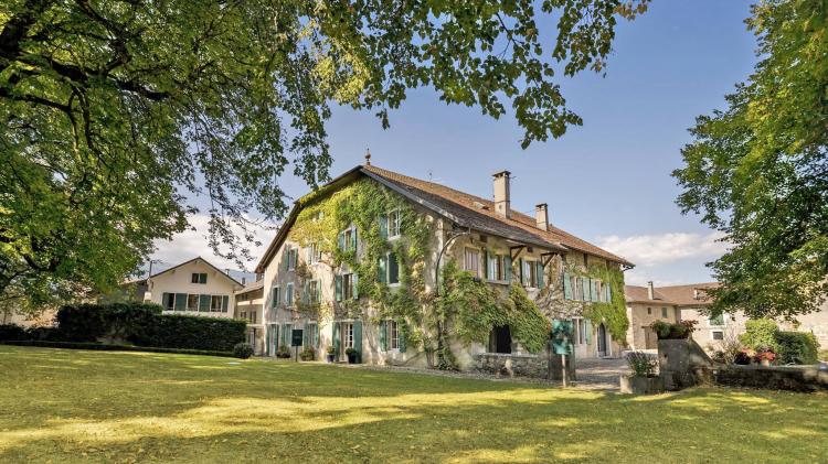 EXCLUSIVE: Stunning Estate in the Heart of the Vineyards
