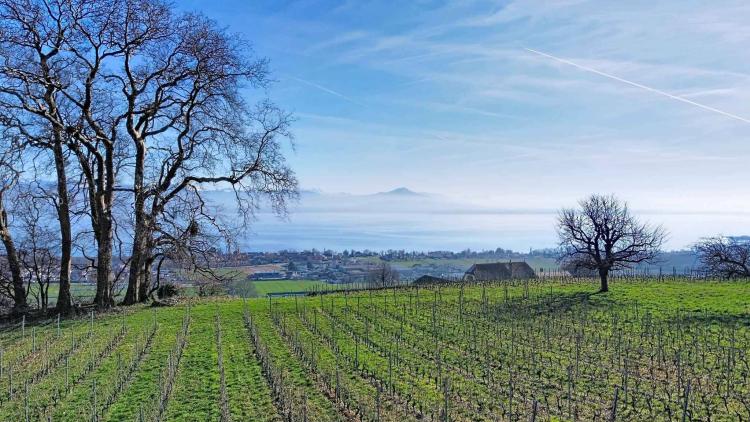 Exceptional new villa: 360 m² of light and prestige facing Lake Geneva