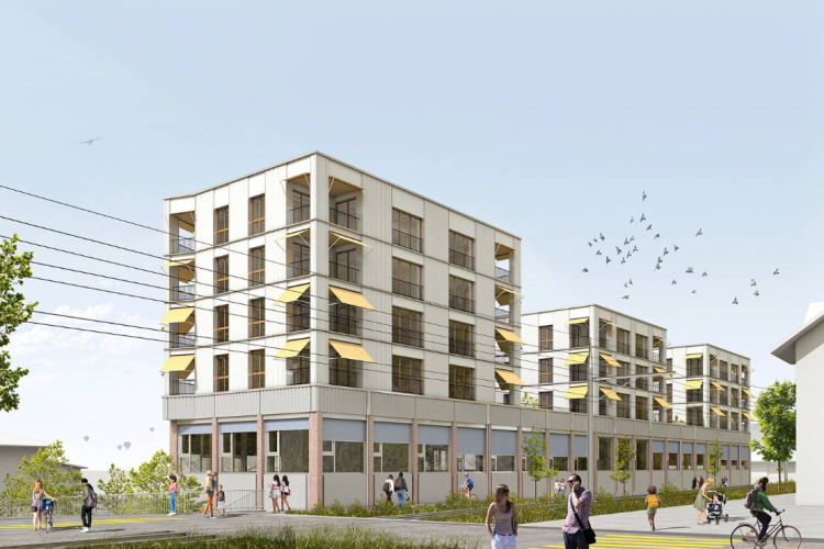 JDgs2_kaban-bien-5177830.png