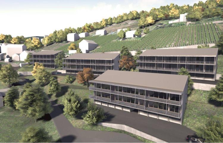 Bright new 3 1/2 apartment