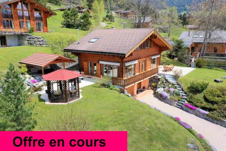 4.5 room chalet with beautiful view of the Dents du Midi