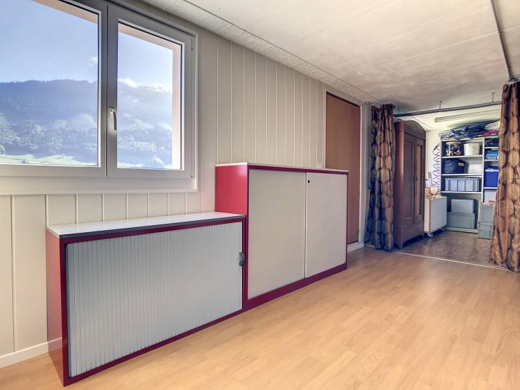 kaban-bien-5131191.jpg