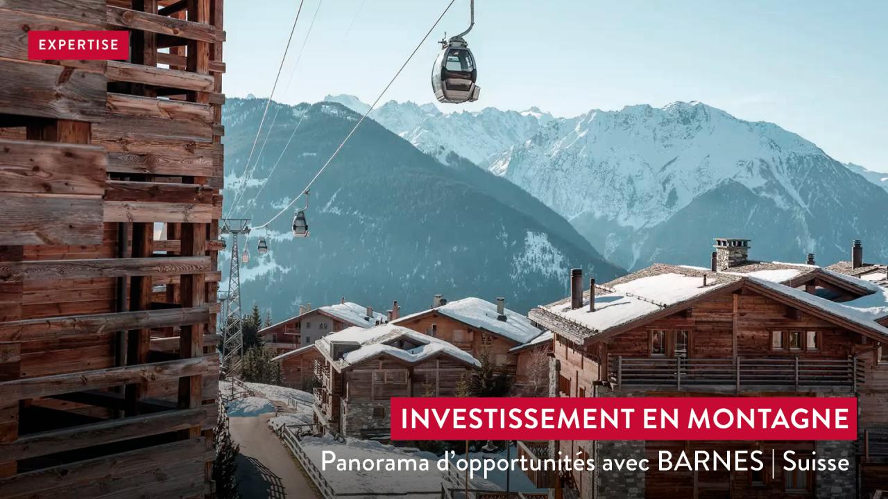 A Panorama of Opportunities for Mountain Investment