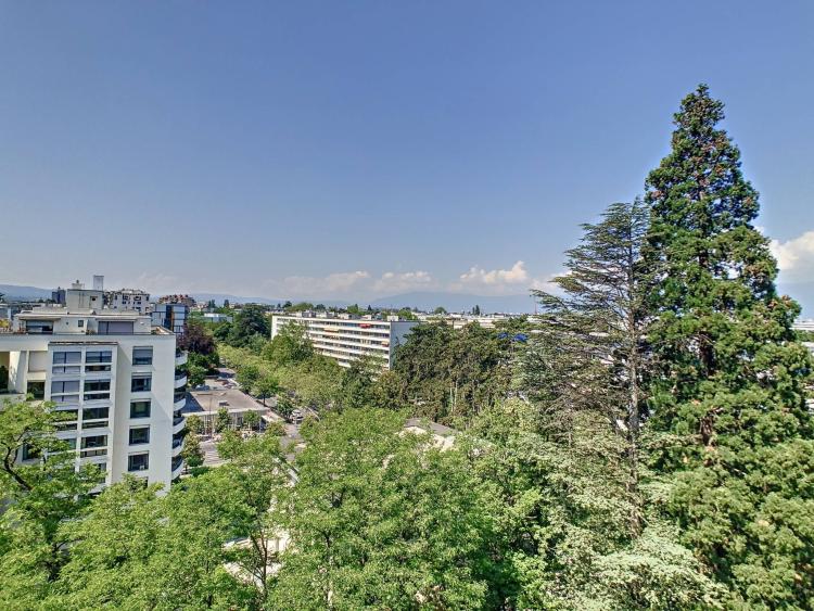 Spacious 4-room apartment in luxury residence