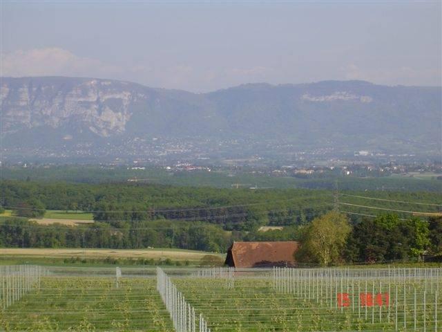 S1nXq_kaban-bien-5251280.jpg