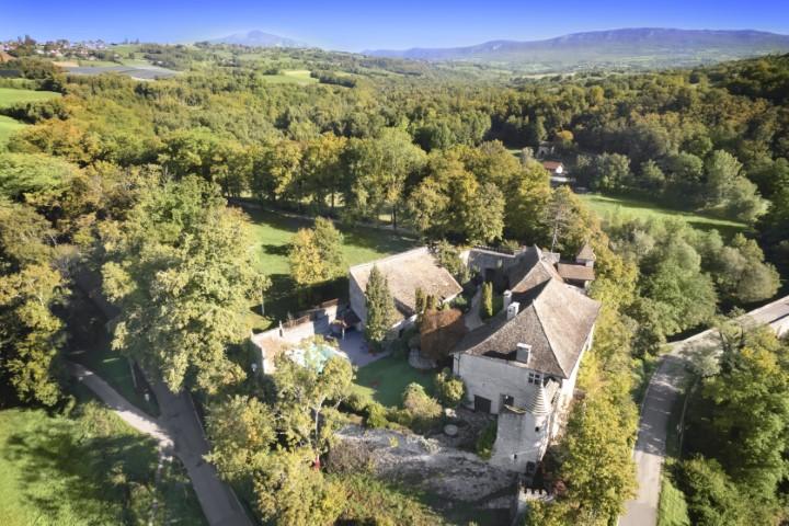 Prestigious Castle 45 minutes away from Genve