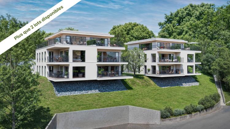Superb 4.5 room apartment with garden