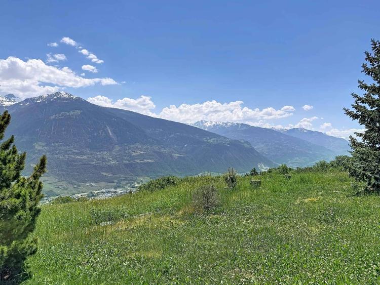 wpTYn_kaban-bien-6666031.jpg